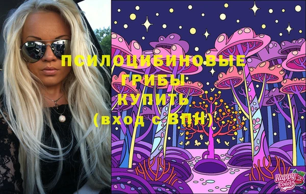 spice Абаза