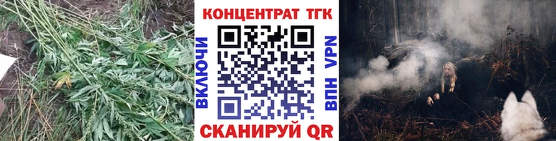ТГК концентрат  купить   блэк спрут сайт  дарк нет состав  Петров Вал 
